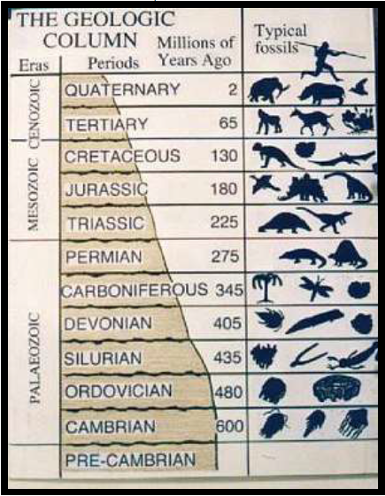 What knowledge is radiometric dating based on