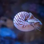 Photo 163402566 © Nejron | Dreamstime.com