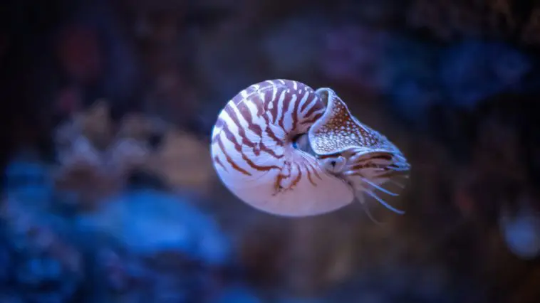 Photo 163402566 © Nejron | Dreamstime.com