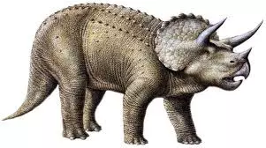 Triceratops CG graphic