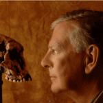 Man's profile staring at an ape's skull