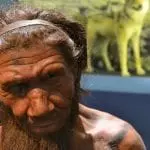 Neanderthal man reconstruction: ID 53497810 © Slawek Kozakiewicz | Dreamstime.com