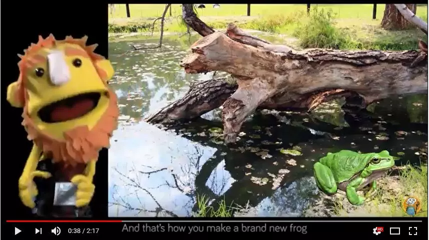 Brand New Frog Song Screenshot