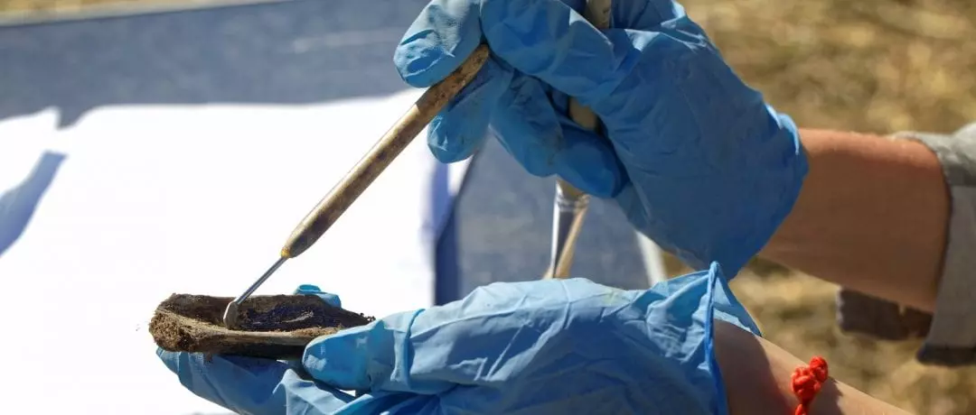 Preparing a bone from an archaeological dig site: ID 124703931 © Krugloff | Dreamstime.com