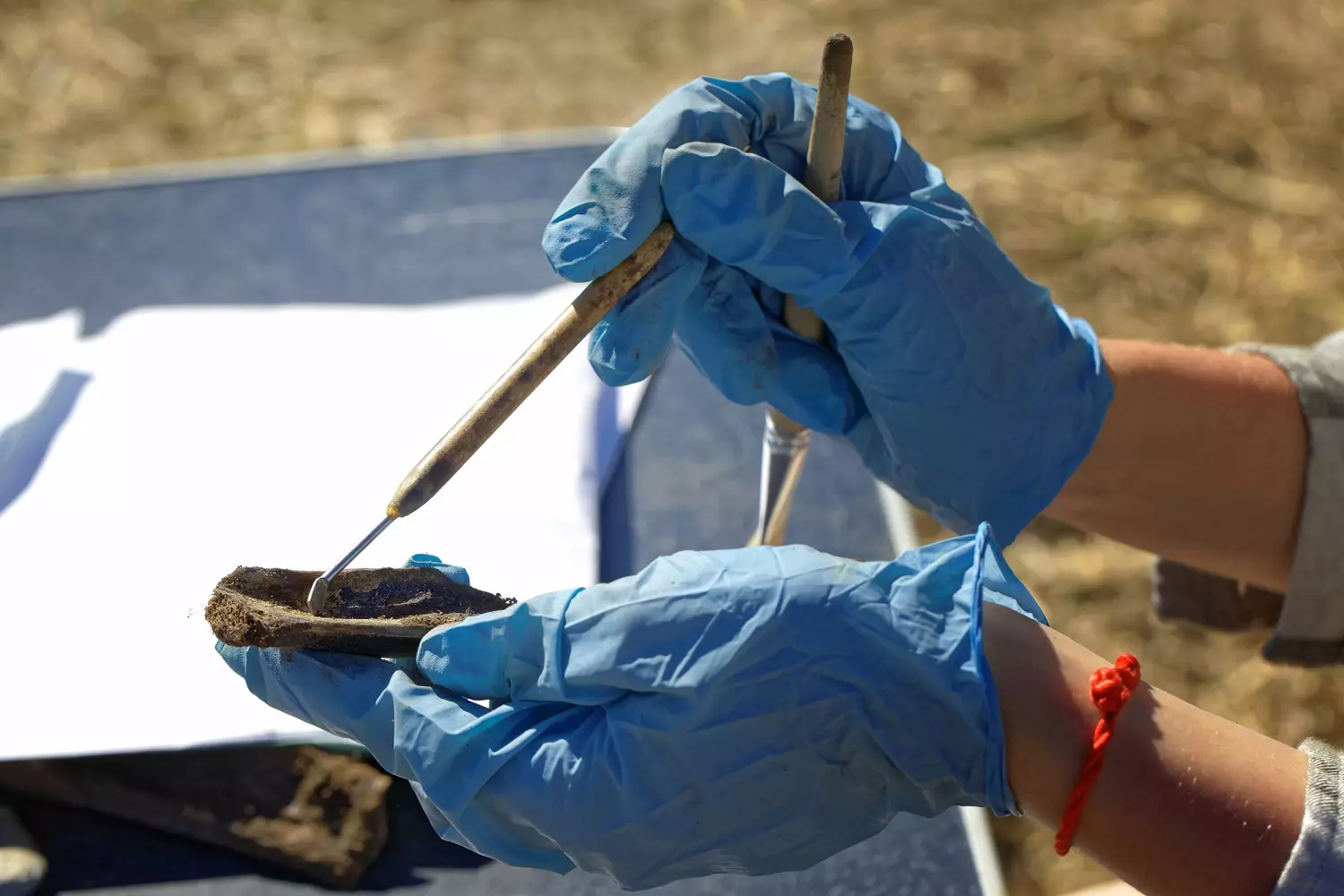 Preparing a bone from an archaeological dig site: ID 124703931 © Krugloff | Dreamstime.com
