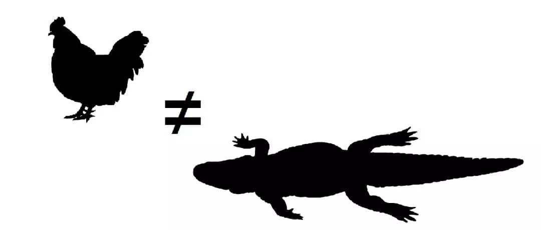 Chicken ≠ Alligator: adapted from ID 86551549 © Vladimir Velickovic | Dreamstime.com