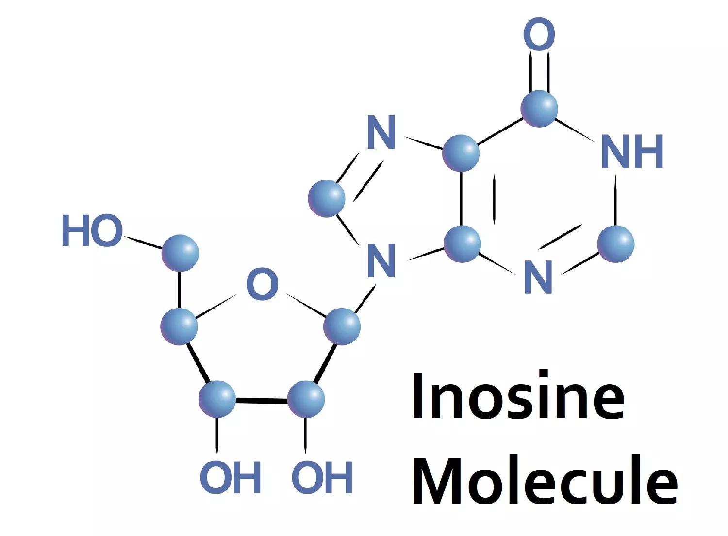 Inosine molecule in tRNA: ID 84208656 © Lyricsai | Dreamstime.com