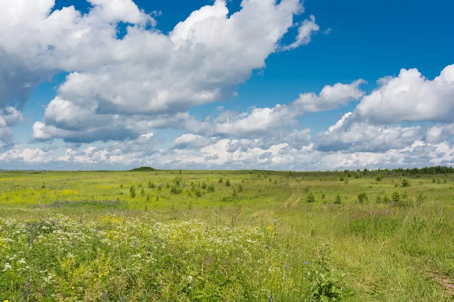 Russian prairie under blue skies, photo credit: pxhere