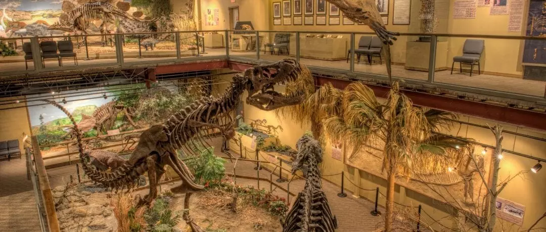Glendive Dinosaur Museum main hall, photo credit: Tommy Lohman