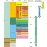 Geologic Column with Flood processes, diagram credit: Tas Walker