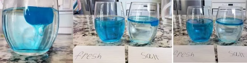 Ice cube experiment with blue dye in glasses