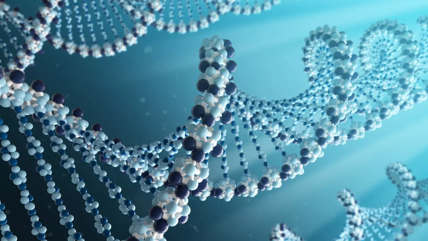 DNA molecule strands model: photo credit Dreamstime ID: 40200857