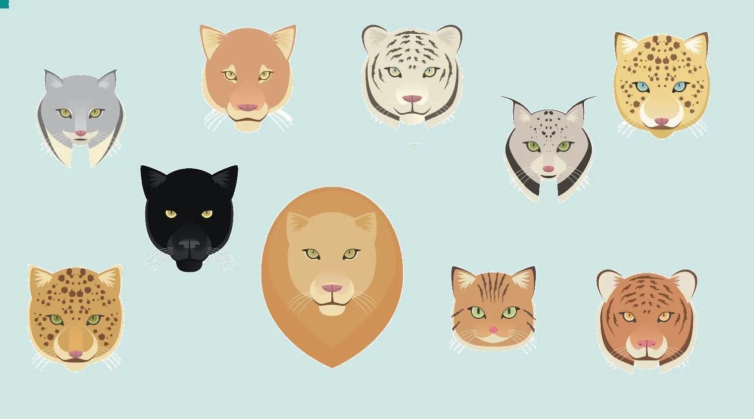 Various cat faces: Illustration 46721632 © Tomacco | Dreamstime.com