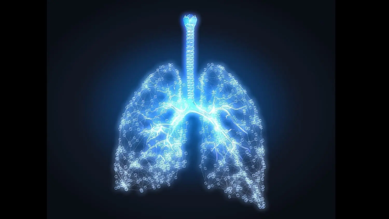 Lung illustration: Photo 194809772 © Axel Kock | Dreamstime.com