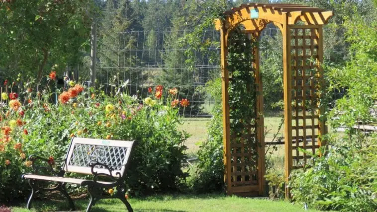 Garden with deer fencing in the background, photo credit: Wendy MacDonald