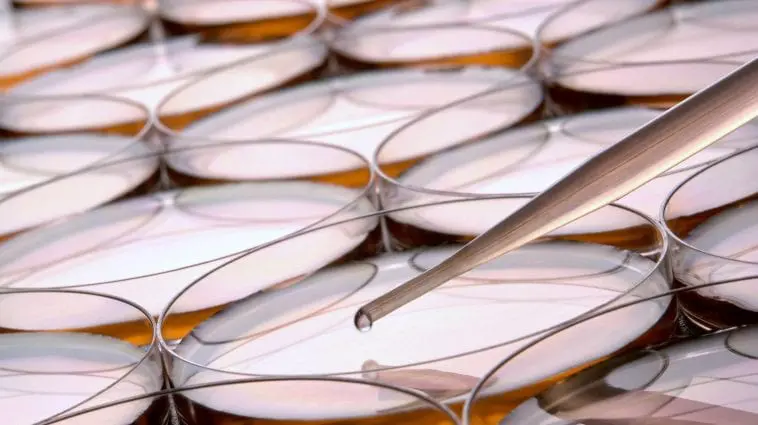 Petri dishes with pipette: Photo 6493024 / Petri Dish © Olivier Le Queinec | Dreamstime.com