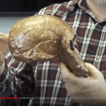 Homo rudolfensis YouTube still