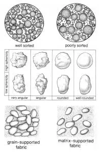 Sand grain varieties drawings, photo credit Tas Walker