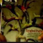 Dr. Jackson with scientific journal cover video still