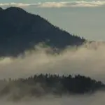 Wooded mountain in the sun with misty valleys, photo credit: Pat Mingarelli