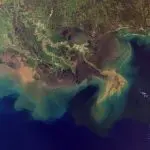 Mississippi delta with sedimentation, photo credit: NASA