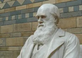 Are you a disciple of this man?