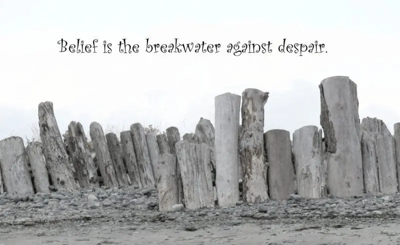 Wooden posts forming a breakwater, photo credit: Wendy McDonald