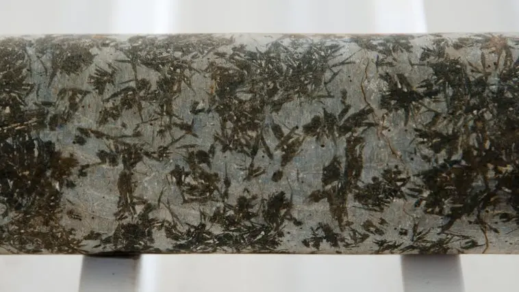 Komatiite rock core with visible dark crystals: Photo 131480592 © Adwo | Dreamstime.com