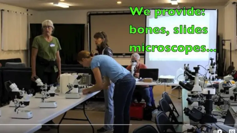 YouTube still of the hands on lab equipment being prepared