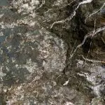 Greenstone Belt Rock: Photo 138460877 © Alessandra Rc | Dreamstime.com