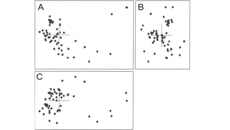 baraminic distance correlation example-Todd-Wood