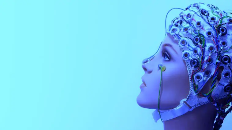 EEG cap on manikin: Photo 126810932 / Eeg Cap © Neurobite | Dreamstime.com