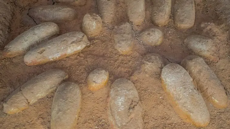 Protoceratops nest: Photo 166754057 / Background © Martin Leber | Dreamstime.com