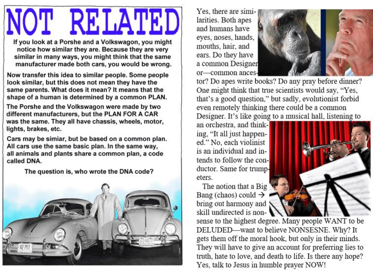 Common Designer meme