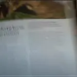 Neandertal Burial, Dr. J video still