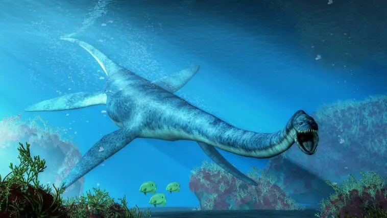 Elasmosaurus, variety of Plesiosaurus: Illustration 143045331 © Daniel Eskridge | Dreamstime.com