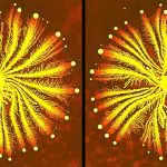 Paenibacillus colony in a starburst shape