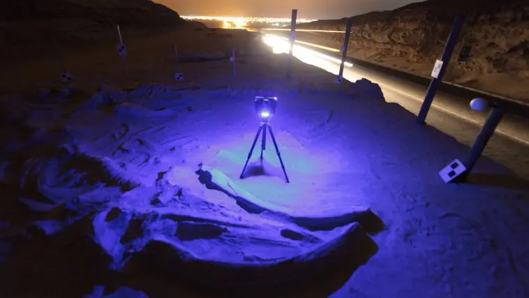 Whale fossil in situ at night in Cerro Ballena, photo credit: Smithsonian
