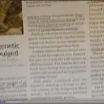 Tuatara magazine video still