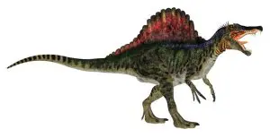 Spinosaurus: Illustration 25119767 © Ana Santos | Dreamstime.com