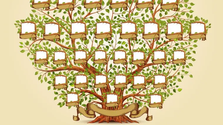 Family tree: Illustration 153046369 © Yaroslav Borysovych | Dreamstime.com