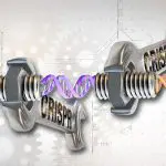 CRISPR illustration, photo credit: Ernesto del Aguila III, NHGRI