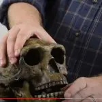 Peking Man video still