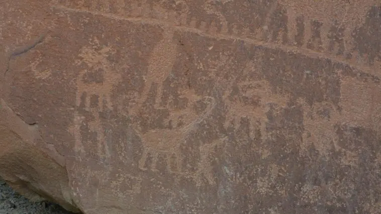 Sauropod and other animals at Nine Mile Canyon, Utah, photo credit: Greg Morgan