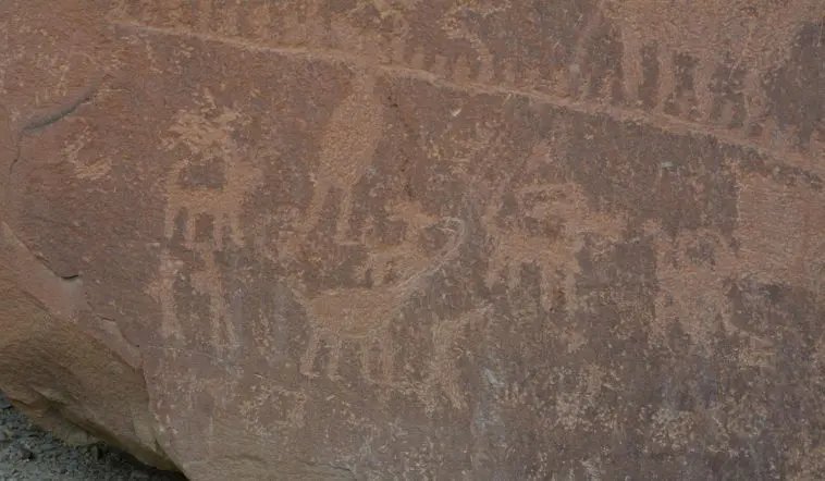 Sauropod and other animals at Nine Mile Canyon, Utah, photo credit: Greg Morgan