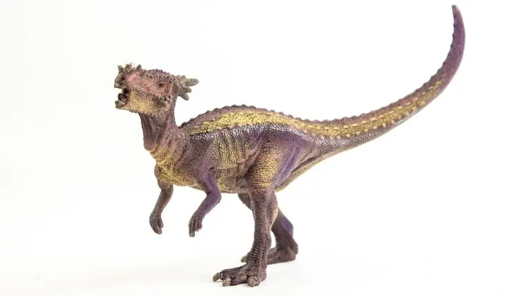 Dracorex Hogwartsia Computer illustration: Photo 174710670 © Kitti Kahotong | Dreamstime.com