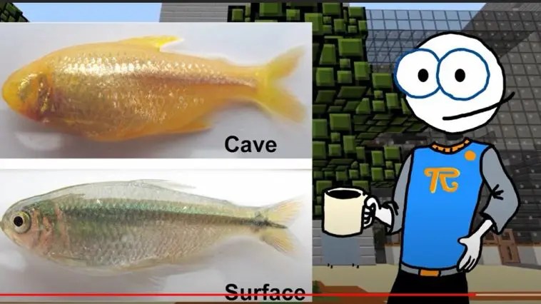 Vestigial Organs YouTube still