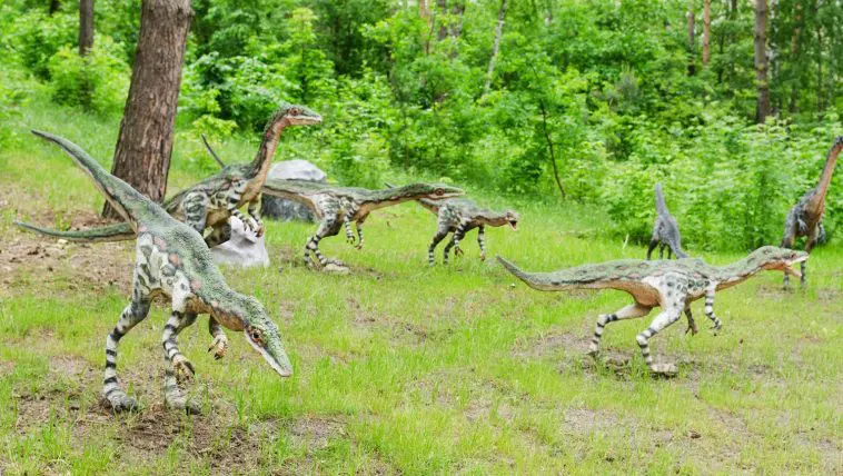 Coelophysis sculptures: Photo 117948964 © Elena Shvoeva | Dreamstime.com