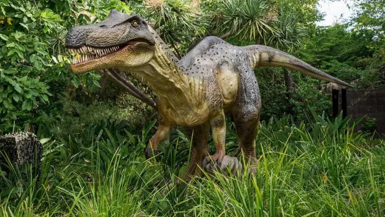 Baryonyx dinosaur model standing in tall grass, Perth, Australia: Photo 68743152 / Dinosaur Eating Grass © Anastasia Yakovleva | Dreamstime.com