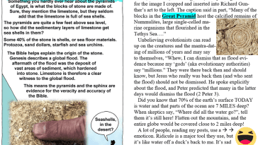 Pyramid fossils meme